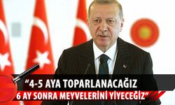 TC Cumhurbaşkanı Erdoğan, ekonomideki yol haritasını anlattı