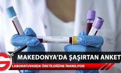Kuzey Makedonya'da halkın yüzde 65'i laboratuvar ortamında üretildiğine inanıyor