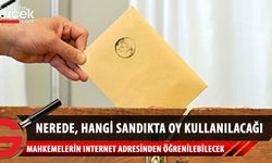 Milletvekilliği Erken Genel Seçimi’nde seçmenler hangi sandıkta oy kullanacaklarını internetten öğrenebilecek