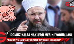 Domuzdan kalp nakline Cübbeli Ahmet'ten yorum