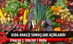 Gıda analiz sonuçları açıklandı