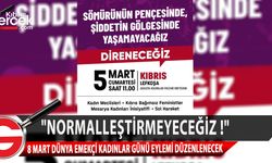 “Bağımsız feminist mücadalemize kararlılıkla devam edeceğiz”