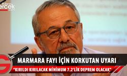 Prof. Görür'den 'Marmara fayı' uyarısı: Minimum 7.2'lik deprem üretecek