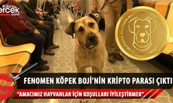 İstanbul'un fenomen köpeği Boji'nin kripto parası çıktı