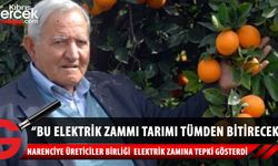 Kuzey Kıbrıs Narenciye Üreticiler Birliği'nden elektrik zammı kararına tepki