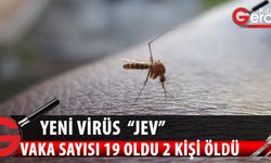 Avustralya’da Japon Ensefalit Virüsü vaka sayısı 19 oldu, 2 kişi hayatını kaybetti