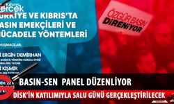 Basın-Sen salı günü panel düzenliyor