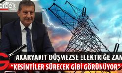 Erdoğan, kesintiler ve elektrik fiyatlarına ilişkin önemli açıklamalarda bulundu