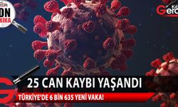 SON DAKİKA! Türkiye'de 191 bin 26 test yapıldı