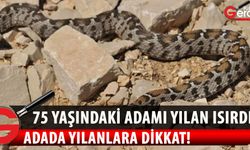 Limasol’da 75 yaşındaki bir adamı zehirli yılan ısırdı