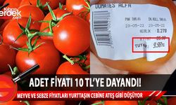 Bir ‘adet’ domatesin fiyatı 9,98 TL’yi buldu!