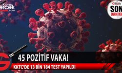 "Toplam 13 bin 184 test yapıldı, 45 pozitif vakaya rastlandı "