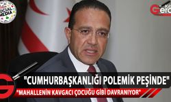 CTP'li vekili Erkut Şahali, Cumhurbaşkanlığı'nın açıklamasını eleştirdi