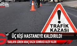 Yeşilyurt'ta korkutan kaza! Yoldan çıkan araç, narenciye bahçesine girip durabildi