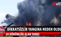 Yeniboğaziçi'nde yangın: 20 dönümlük alan yandı