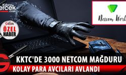 MAĞDURLAR 4-5 MİLYON DOLAR KAPTIRDI