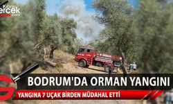 Muğla'nın Bodrum ilçesinde, orman ve makilikte yangın çıktı