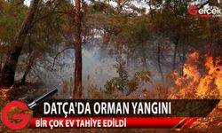 Muğla'nın Datça ilçesinde çıkan orman yangınını söndürme çalışmaları sürüyor