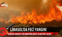 Limasol’un “Agios Amvrosios” köyünde dün büyük bir yangın çıktı
