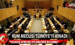 Rum meclisi Türkiye’yi “kınayan” bir karar onayladı
