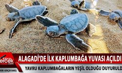 Alagadi'de Kaplumbağa heyecanı