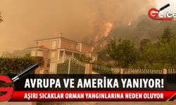 Avrupa ve Amerika orman yangınlarıyla savaşıyor