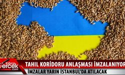 Tahıl sevkiyatı anlaşması yarın İstanbul'da yapılıyor