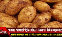 Kıbrıs patatesi için coğrafi işaretli ürün başvurusu yapılacak