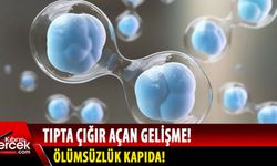 Bilim insanları kök hücre ile tıpta çığır açmayı başardı!