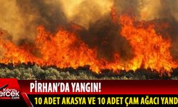 Yangında 20 dönüm anız tamamen yandı