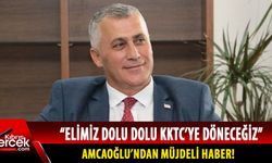 Ekonomi ve Enerji Bakanı Olgun Amcaoğlu, Ankara temaslarıyla ilgili değerlendirmelerde bulundu