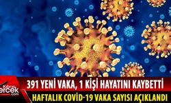 KKTC'de haftalık koronavirüs vaka sayıları açıklandı