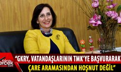 TMK Başkanı Veçhi, AİHM'in Loizidou kararını yorumladı