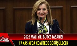 Canaltay, Maliye, Bütçe ve Plan Komitesi'nin, ülke ekonomisi için önemli görev yürütmekte olduğunu söyledi