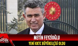 Metin Feyzioğlu, Lefkoşa Büyükelçisi oldu