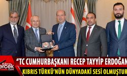 Cumhurbaşkanı Tatar, AK Parti Dış İlişkiler Başkan Yardımcısı Mehmet Ceylanı kabul etti