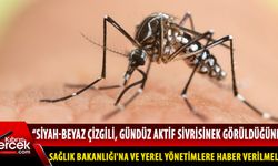Biyologlar Derneği, Asya Kaplan Sivrisineğinin Kuzey Kıbrıs’ta bulunduğunu iddia etti