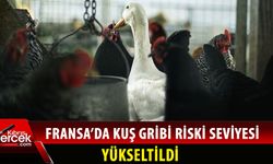Ülke genelinde kanatlı kümes hayvanlarına yönelik karantina ilan edildi
