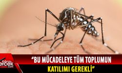 Sağlık Bakanlığı, Girne bölgesinde Asya kaplan sivrisineği tespit edildiğini açıkladı