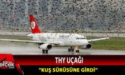 THY uçağı kuş sürüsüne girdi!