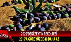 Rekoltedeki düşüş yağış azlığından kaynaklandı