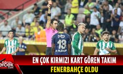 Süper Lig'de ilk yarının en hırçını Fenerbahçe