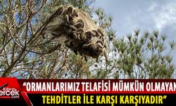 KEMA Vakfı, çam kese böceği sorununa karşı tedbir için çağrıda bulundu