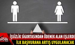 Yasalardaki Cinsiyet Ayrımcılığını İzleme Komitesi, 5 yasa önerisi hazırladı