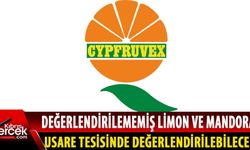 Cypfruvex duyurdu