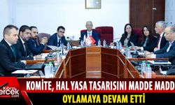 AB Komitesi, Hasipoğlu başkanlığında toplandı