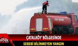 Çatalköy - Esentepe Belediyesine ait iş makineleri ve su tankerleri ile müdahale edildi