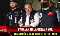 Tosuncuk Mehmet Aydın'ın sağ kolu Osman Naim Kaya tutuklandı