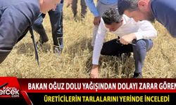 Bakan oğuz doludan zarar gören üreticiyi ziyaret etti