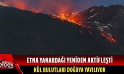 "Yanardağın yarattığı olumsuz etki Türkiye'yi etkilemeyecek"